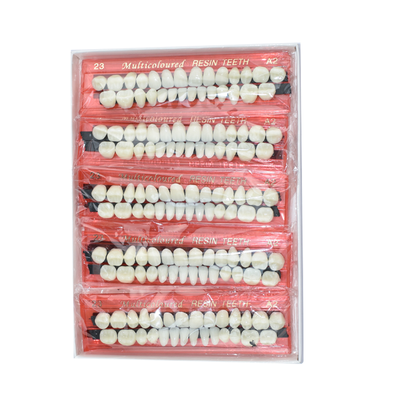 28 歯歯科用樹脂義歯セット 3D シェードガイドカラーコン - Teeth Whitening Kit のレビューと価格