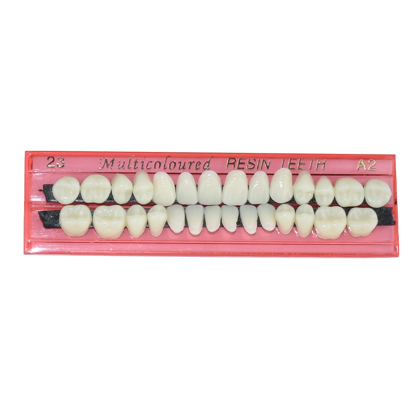 28 歯歯科用樹脂義歯セット 3D シェードガイドカラーコン - Teeth Whitening Kit のレビューと価格