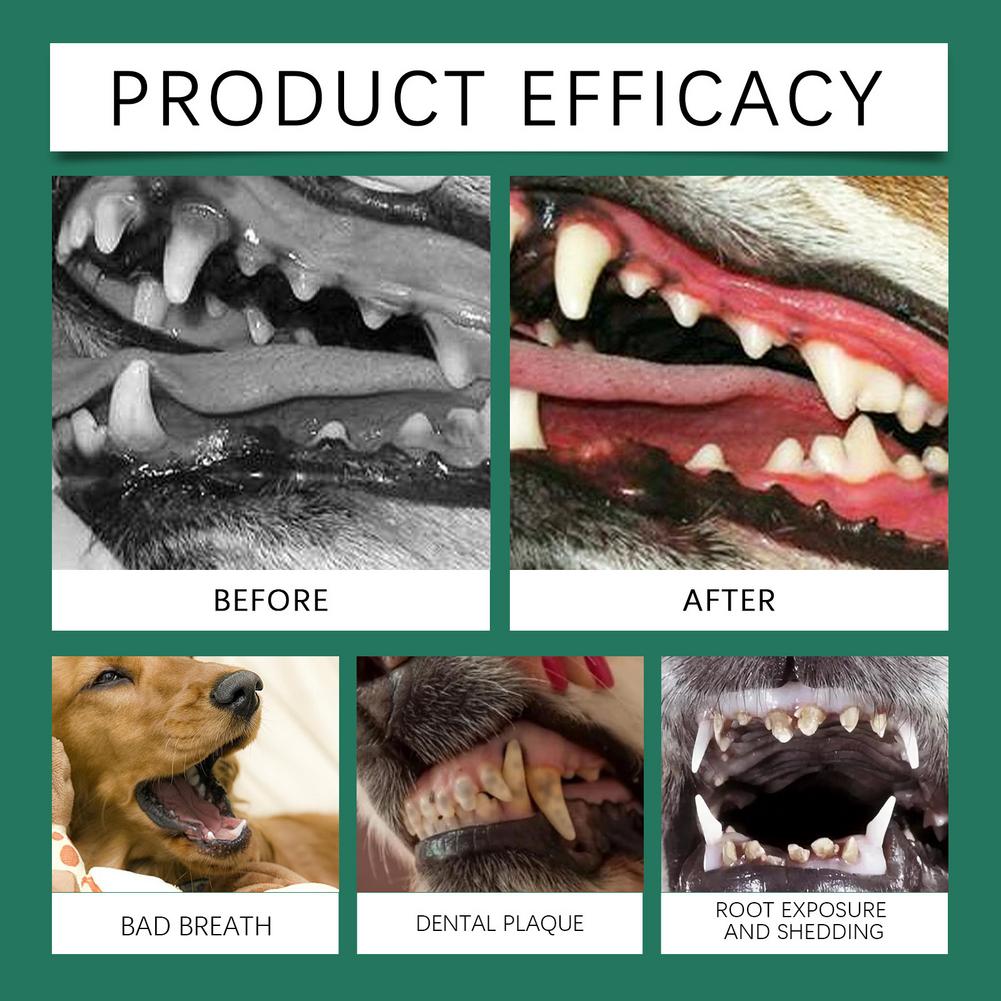犬用歯磨きパウダー。歯石を除去し、口臭を軽減。ペットの歯のケ - Teeth Whitening Near Me のレビューと価格
